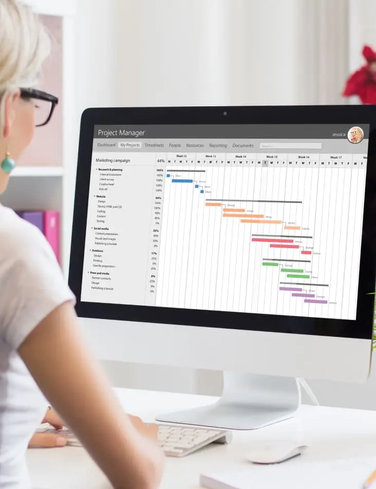 A person at a computer looking at a long-term project plan